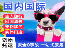 保山云瑞航空运输国际宠物托运 【国